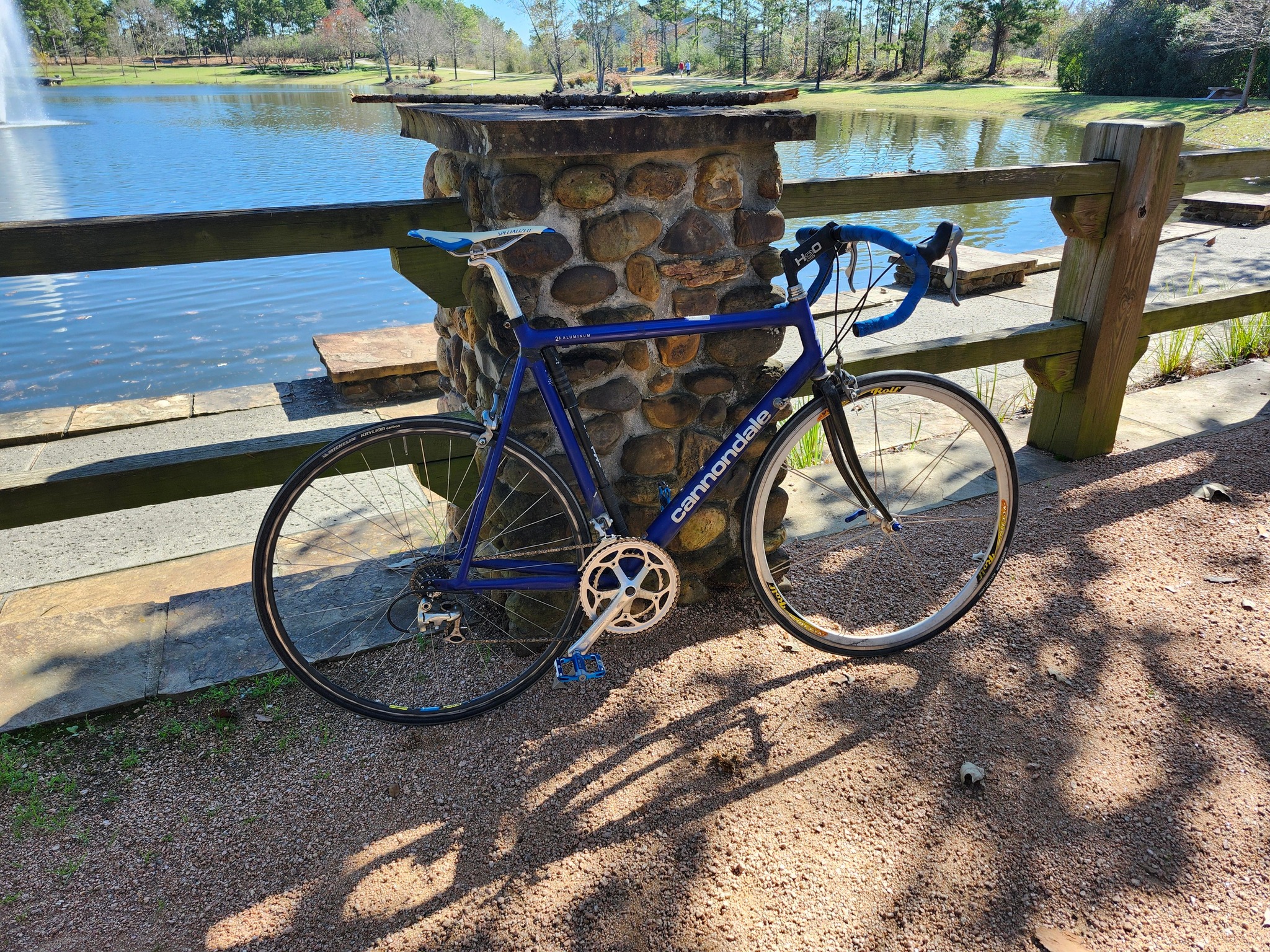 Is cannondale capo worth buying as first track bike?