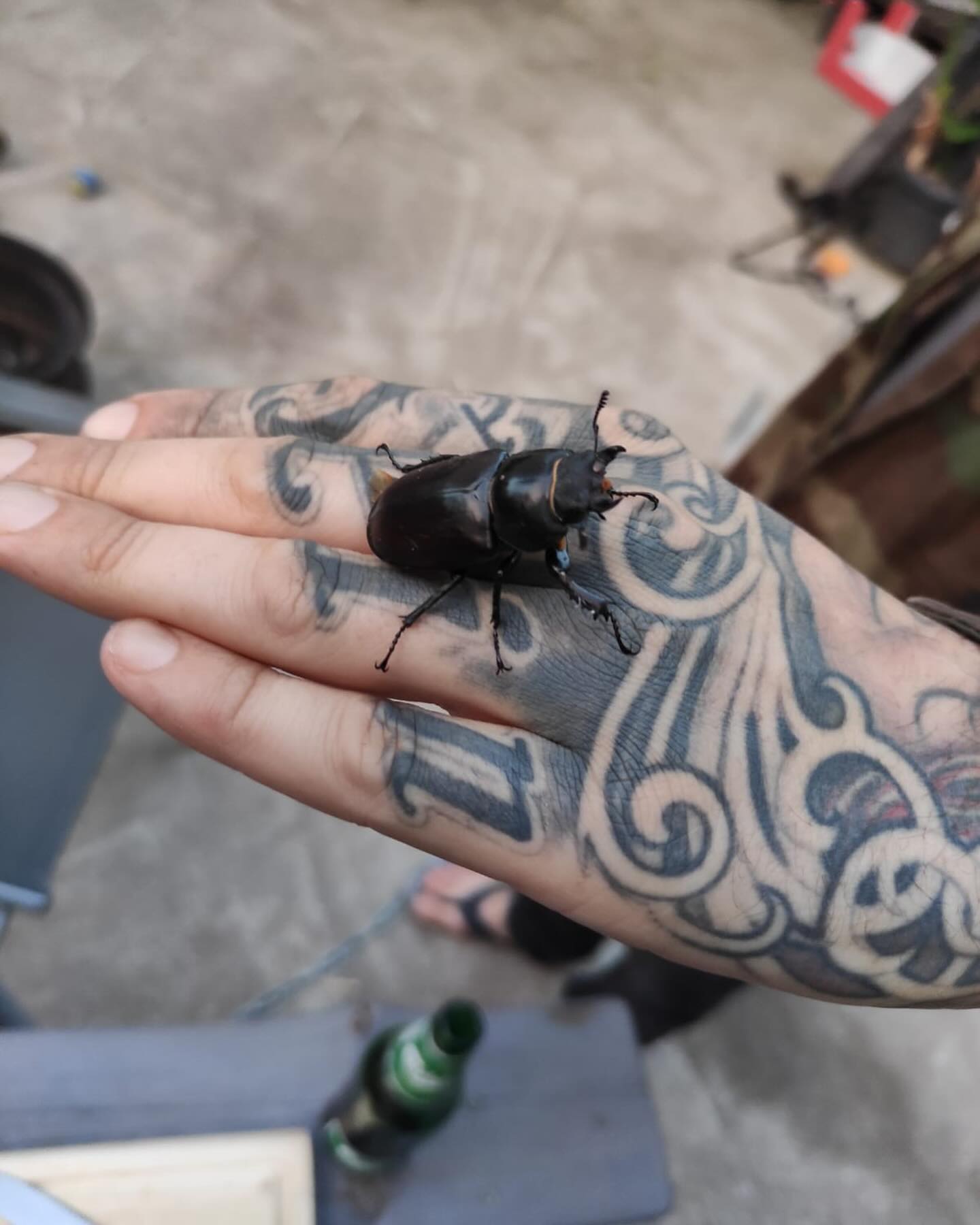Nico Wiedemann Tattoos Indira Hong Rieck Actress E TALENTA