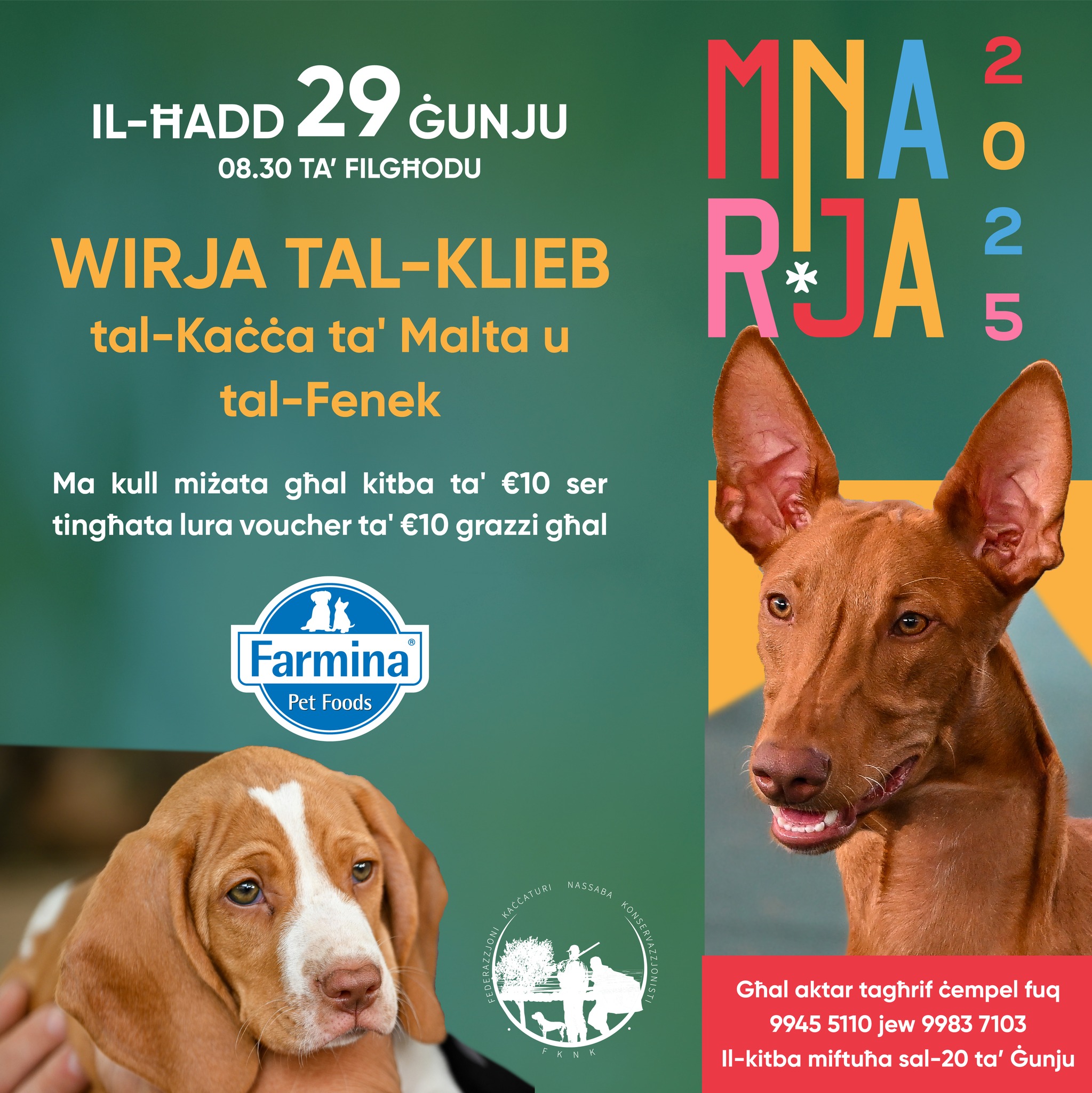 Federazzjoni - 🐶 Imnarja 2025 - Wirja tal-Klieb tal-Kaċċa ta' Malta u ...