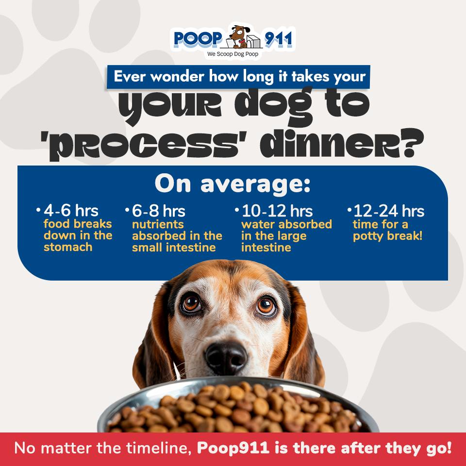 POOP 911 Winston-Salem Foothills