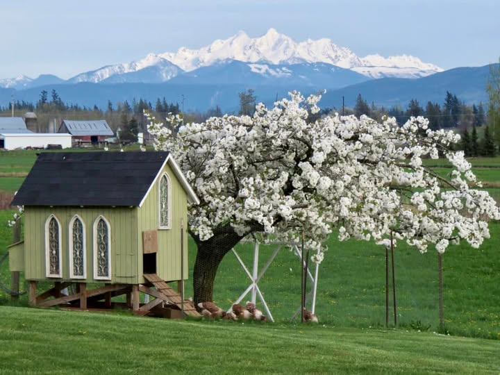 Great Clips Lynden WA