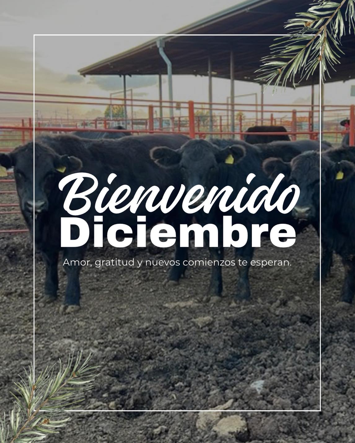 Carne - ¡Bienvenido, diciembre! El mes donde la casa huele a reunión ...