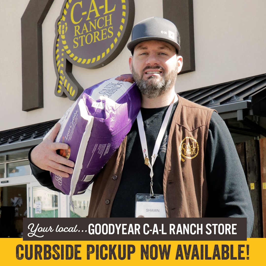 C-A-L Ranch Stores | Goodyear AZ