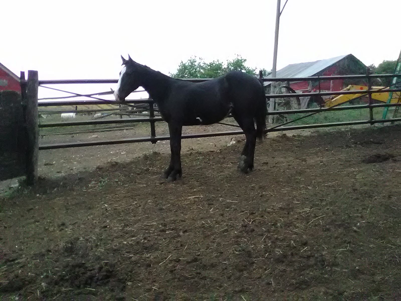 Triple F Ranch
