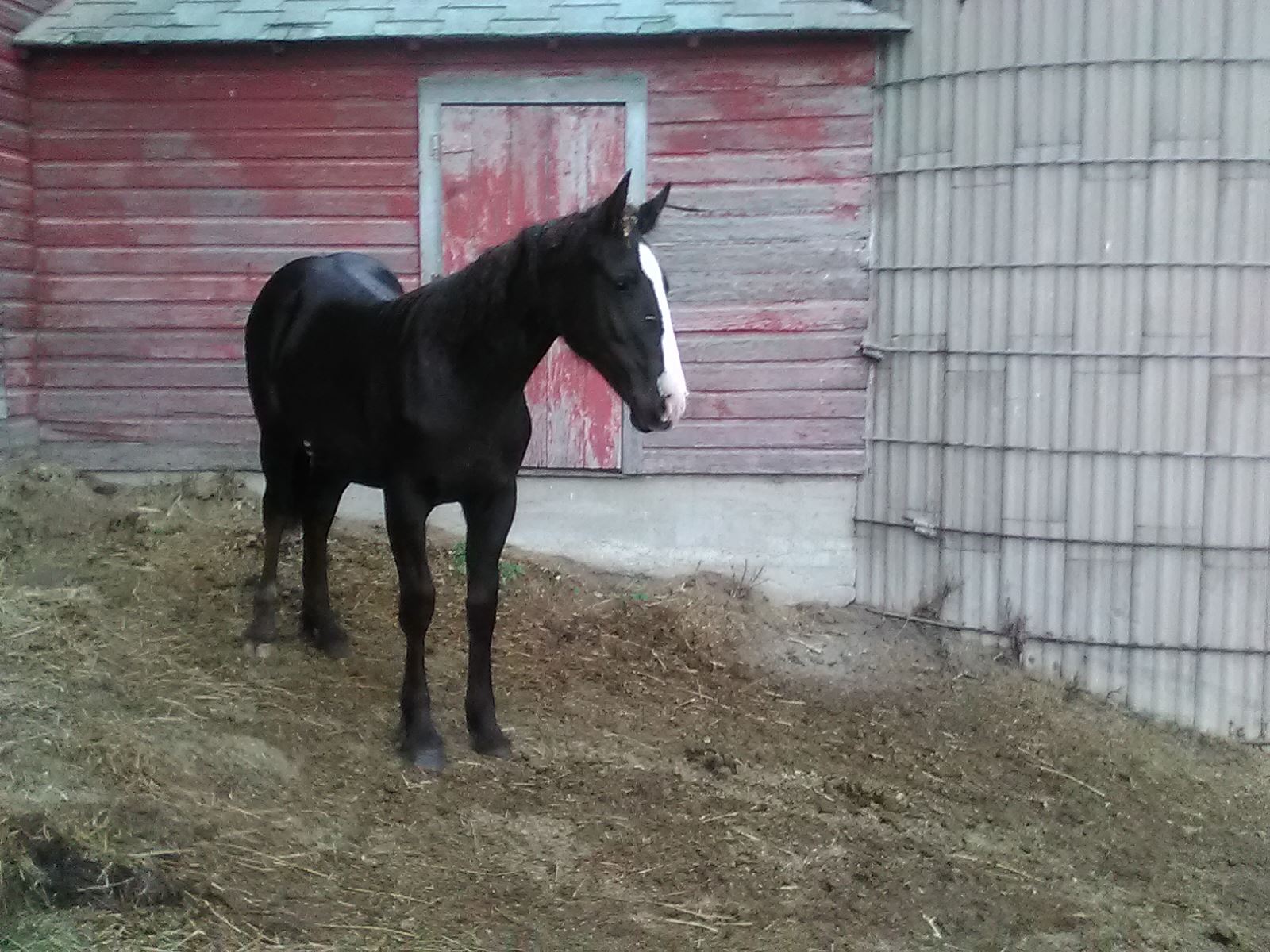 Triple F Ranch