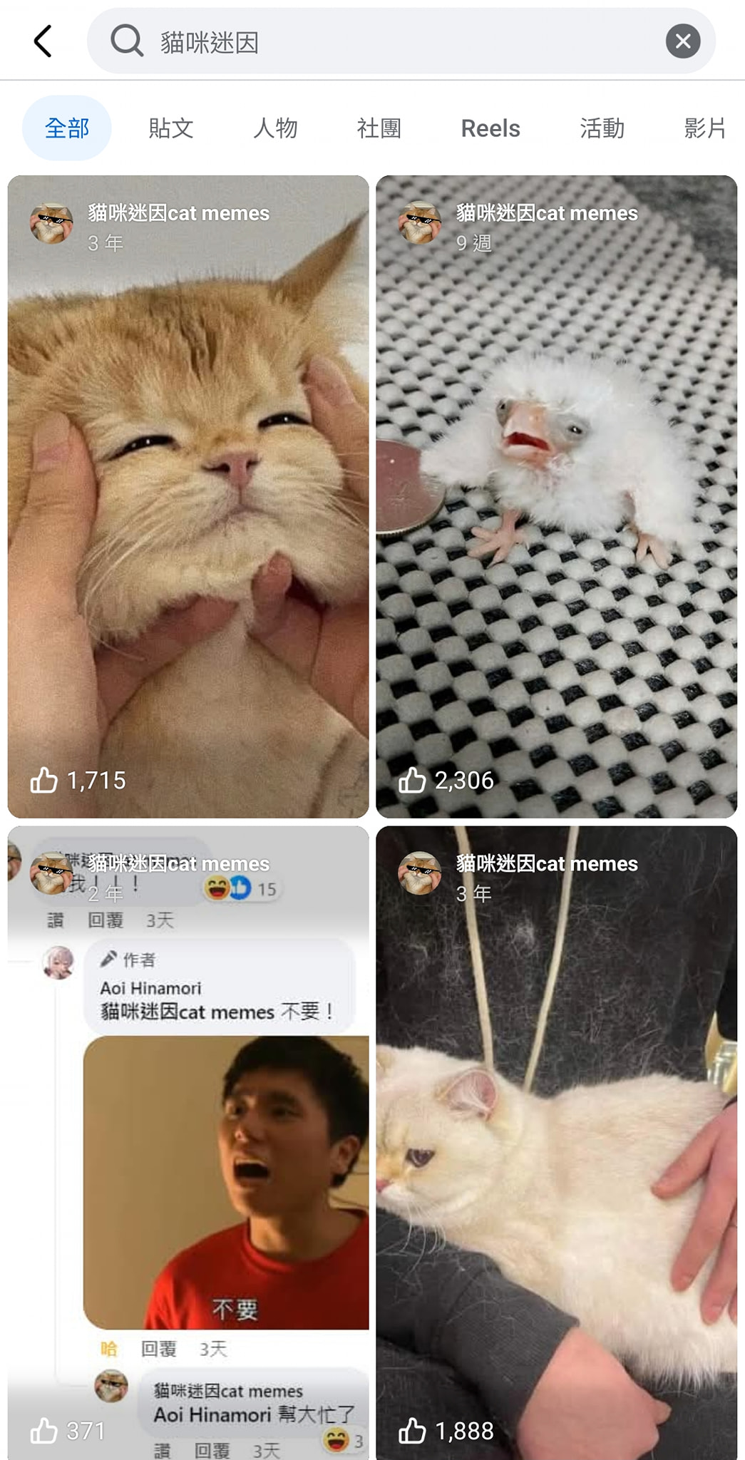 貓咪迷因cat - 搜尋結果改成這樣 版面看得我好痛苦 我要看的是貼文樣式的搜尋結果不是像ig一樣的大便 | Facebook