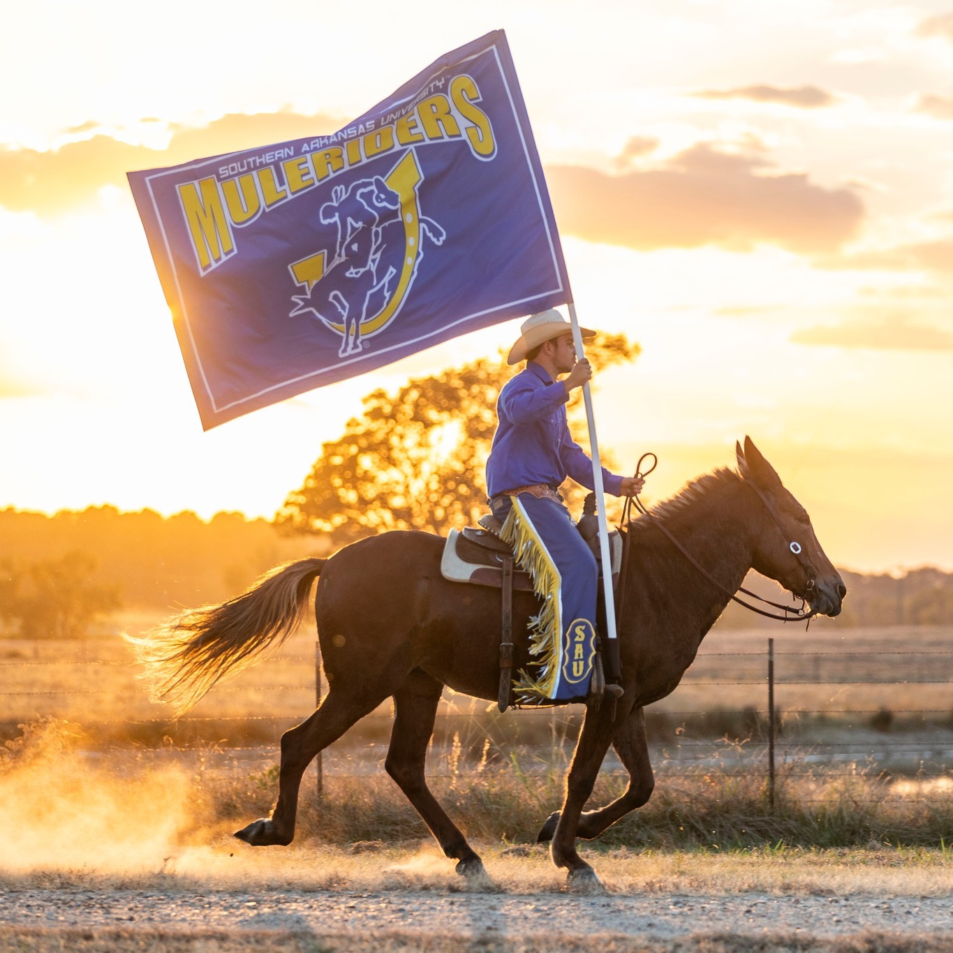 Southern... - Southern Arkansas University Alumni Association
