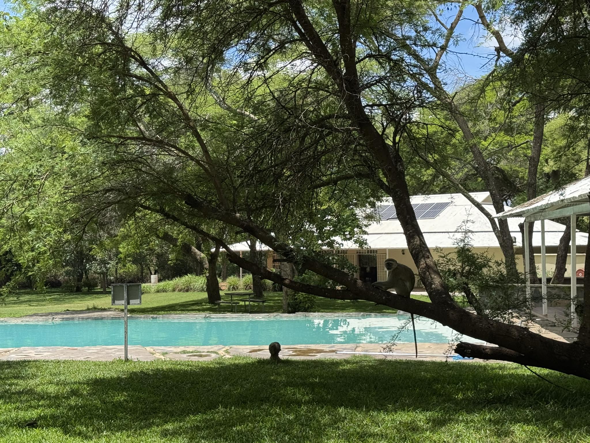 Muka Munya Club & The Monkey Pools | Lusaka