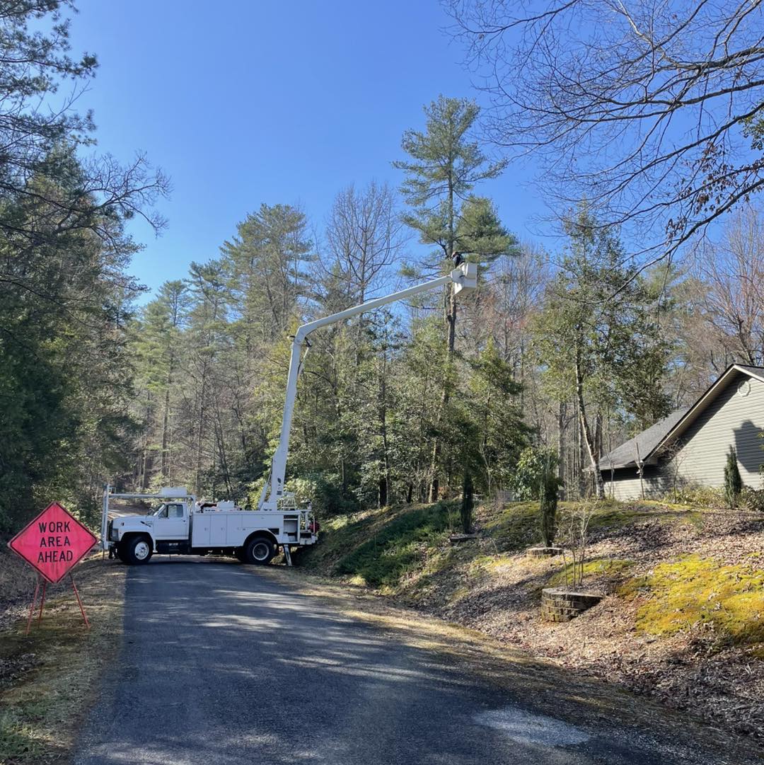 Stroud's Tree Service | Hiawassee GA