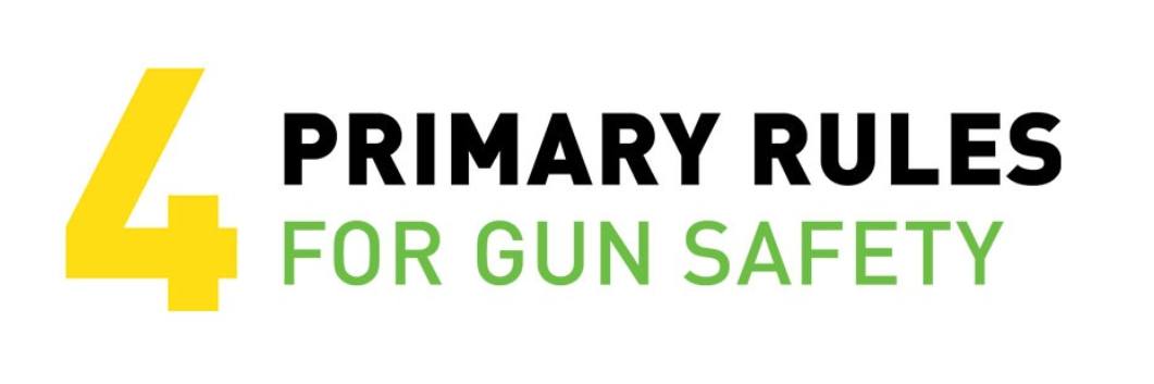 FN - Every gun owner should know these Golden Rules. What are they ...