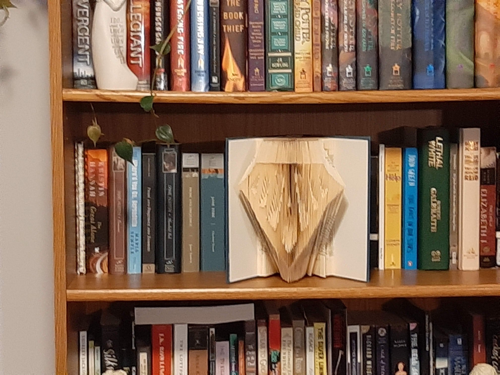 Phil's Pholded Books