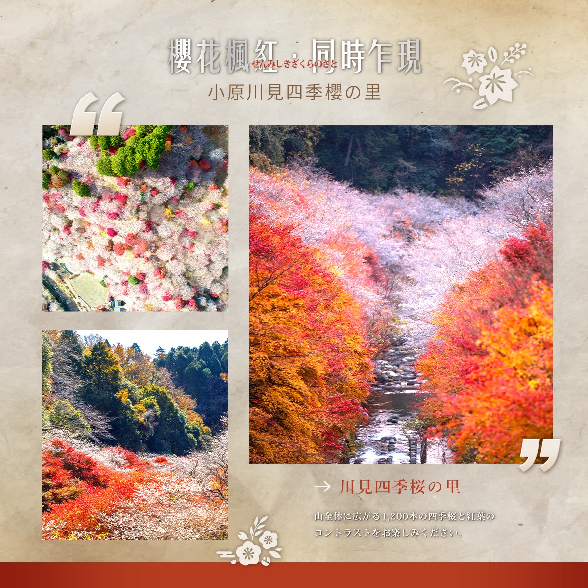 新進旅行社 - 荷魯斯之眼（又稱真知之眼、埃及烏加眼），右眼是拉之眼，代表太陽，帶來幸運。而左眼是荷魯斯之眼，代表月亮，具有治癒．守護的力量 ...