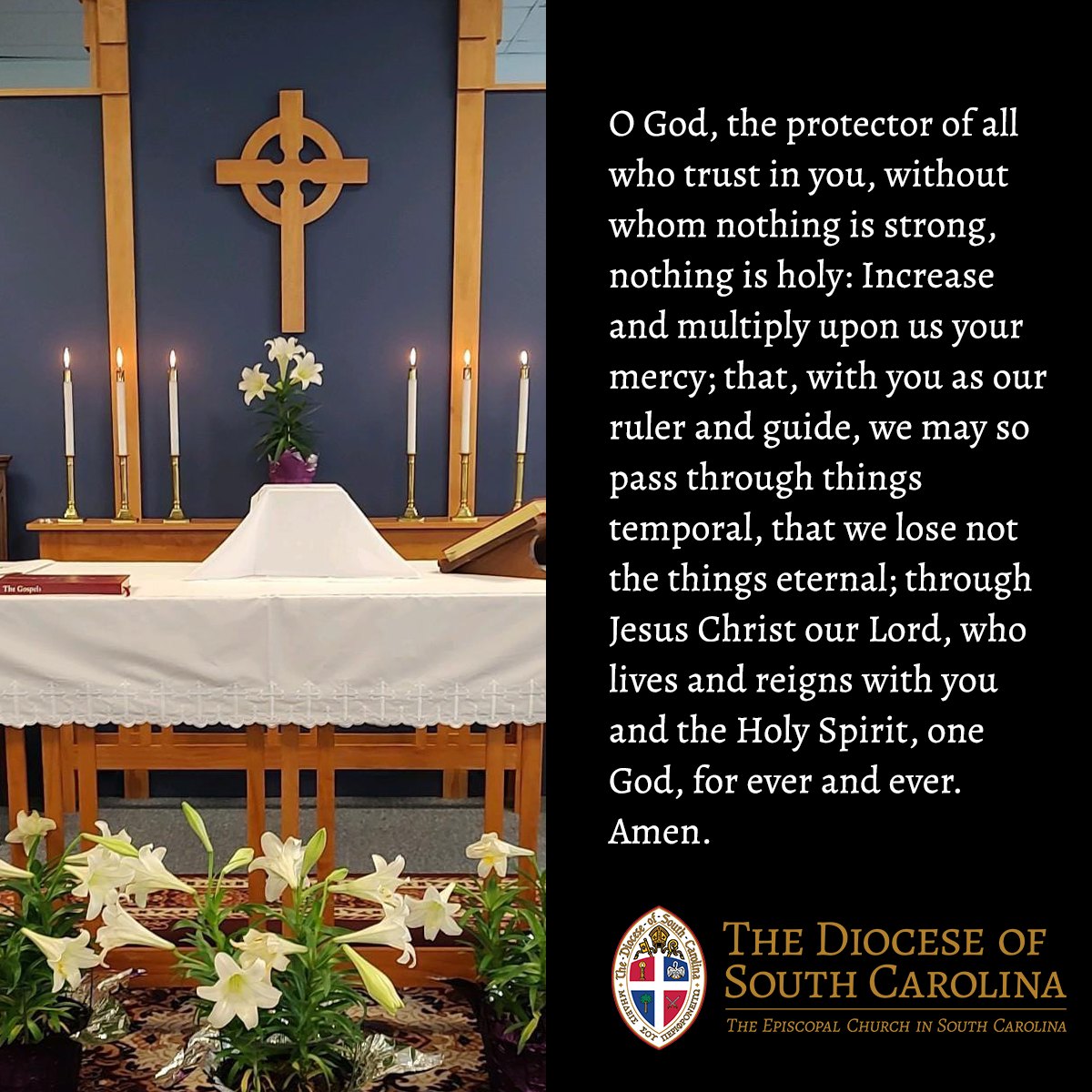 The Episcopal... - The Episcopal Diocese of South Carolina