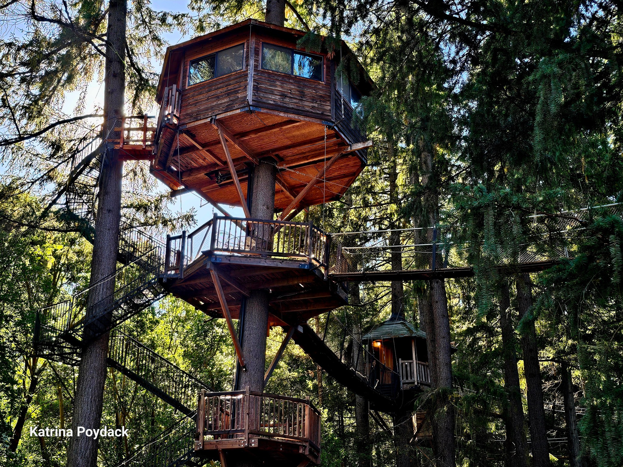 Treehouse Ziplines | Cave Junction OR