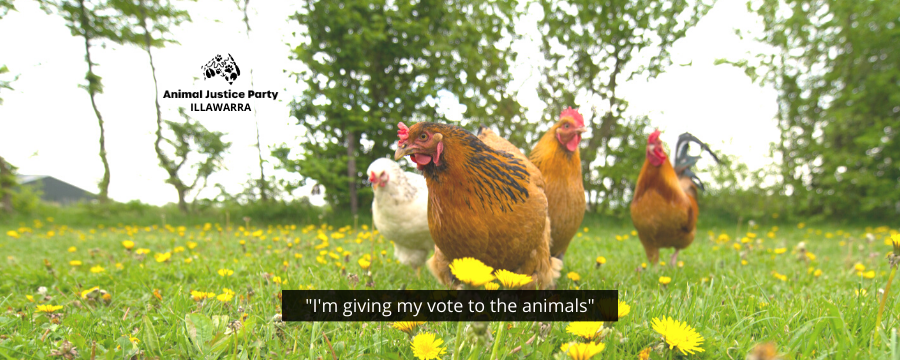 Animal - A vote for the Animal Justice Party is a vote for animals, the ...