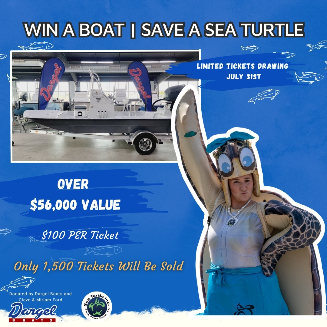 Sea Turtle, Inc - Time's running out! Secure your Dargel... | Facebook