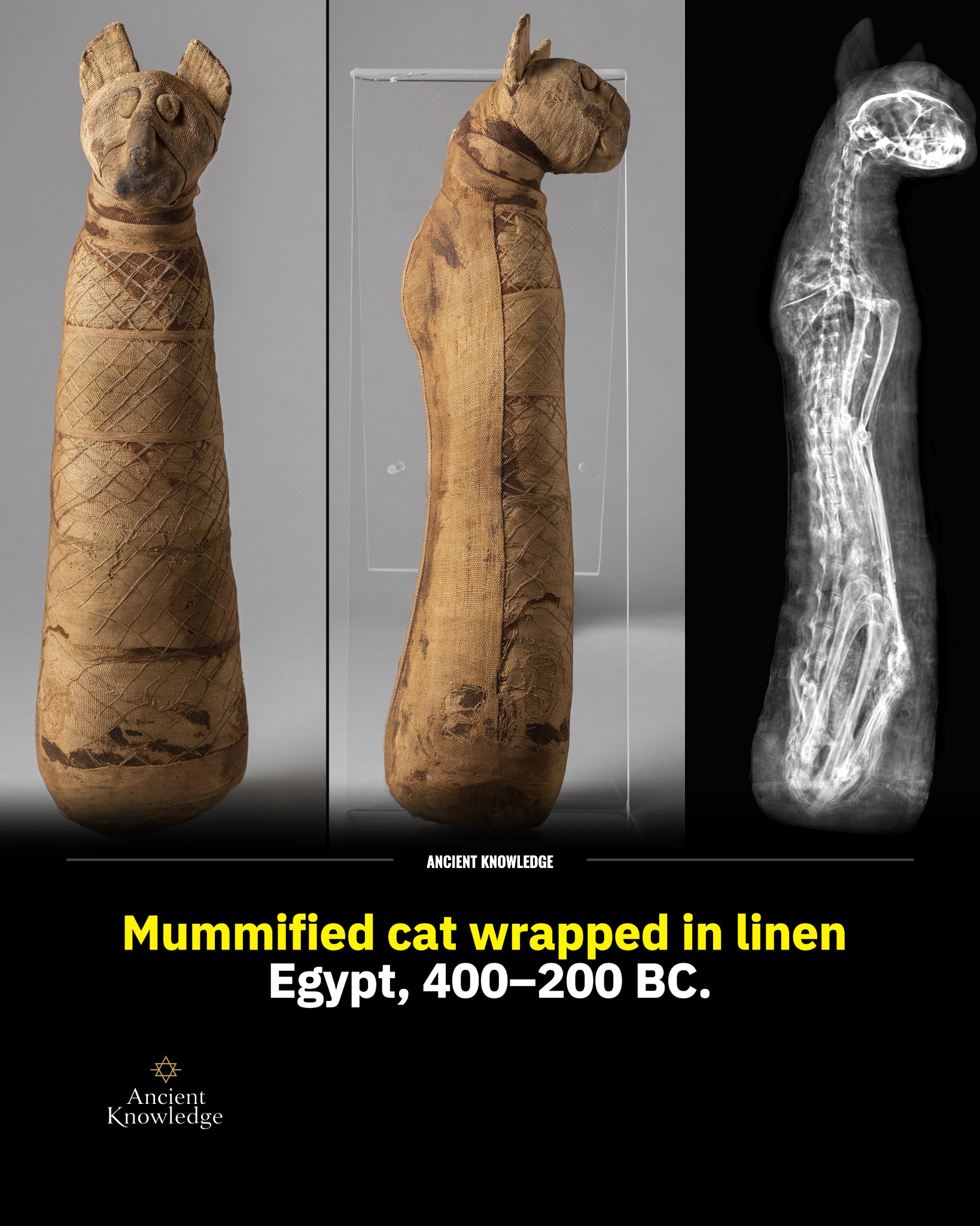 Ancient - This linen-wrapped cat mummy from Egypt, dating to around 400 ...
