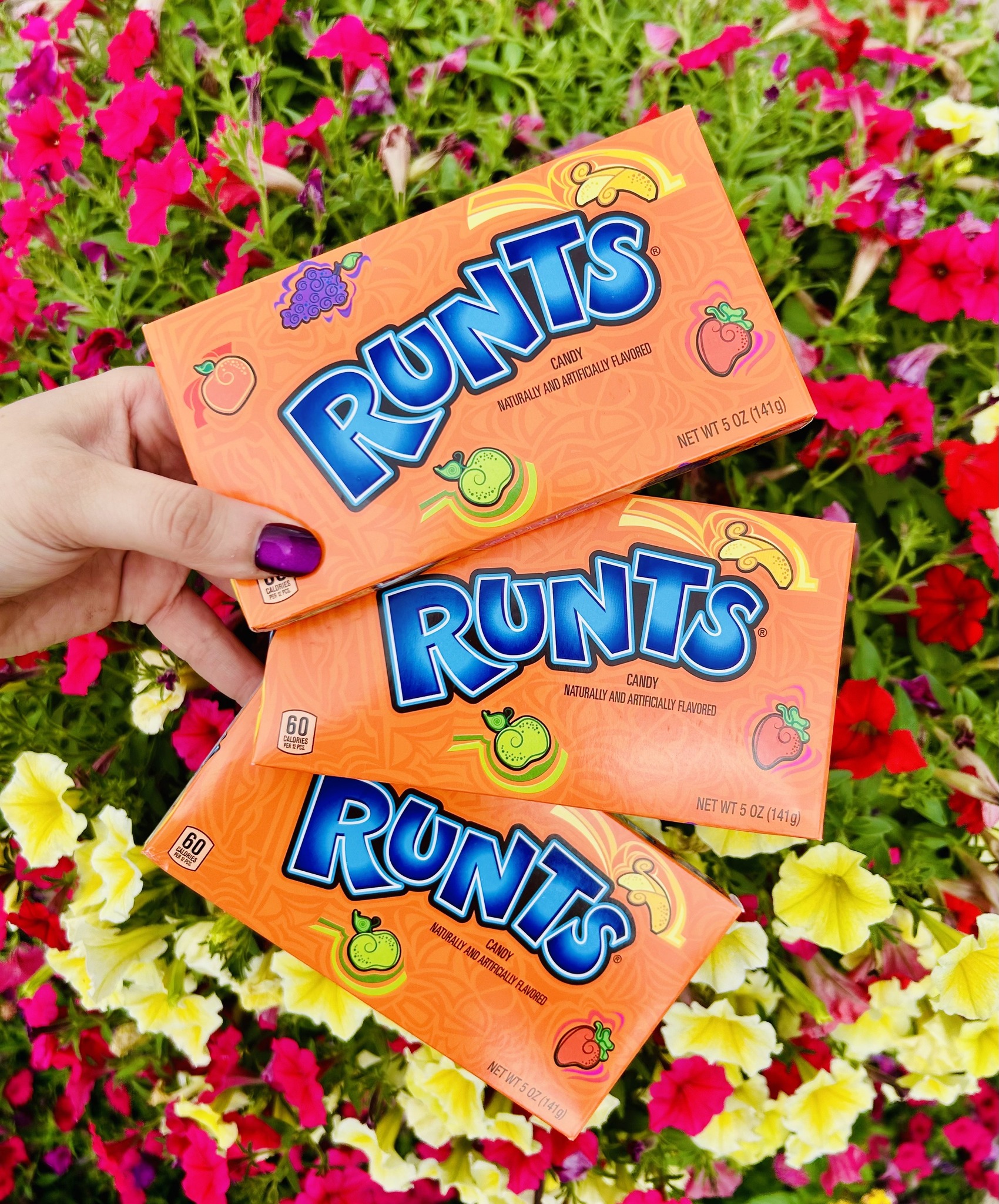Grandpa Joe's Candy Shop - Spring Lake Park, MN | Spring Lake Park MN