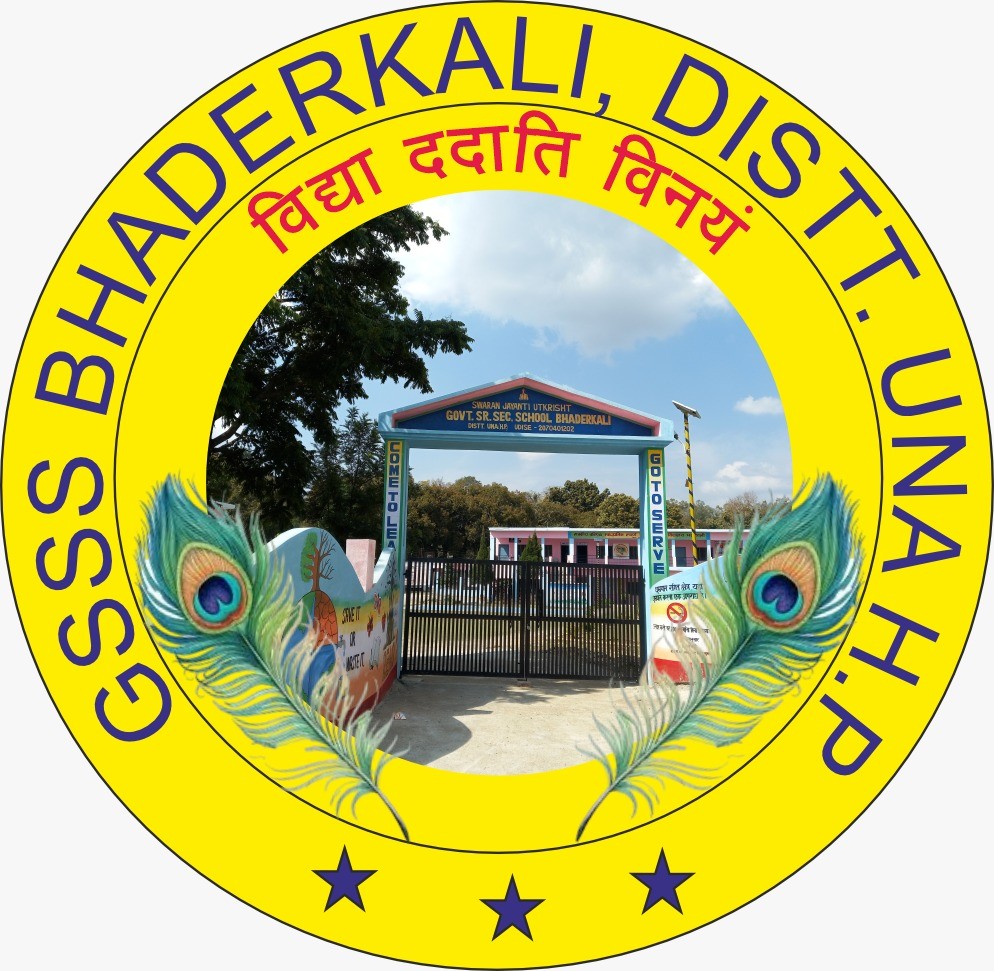 GSSS Bhaderkali