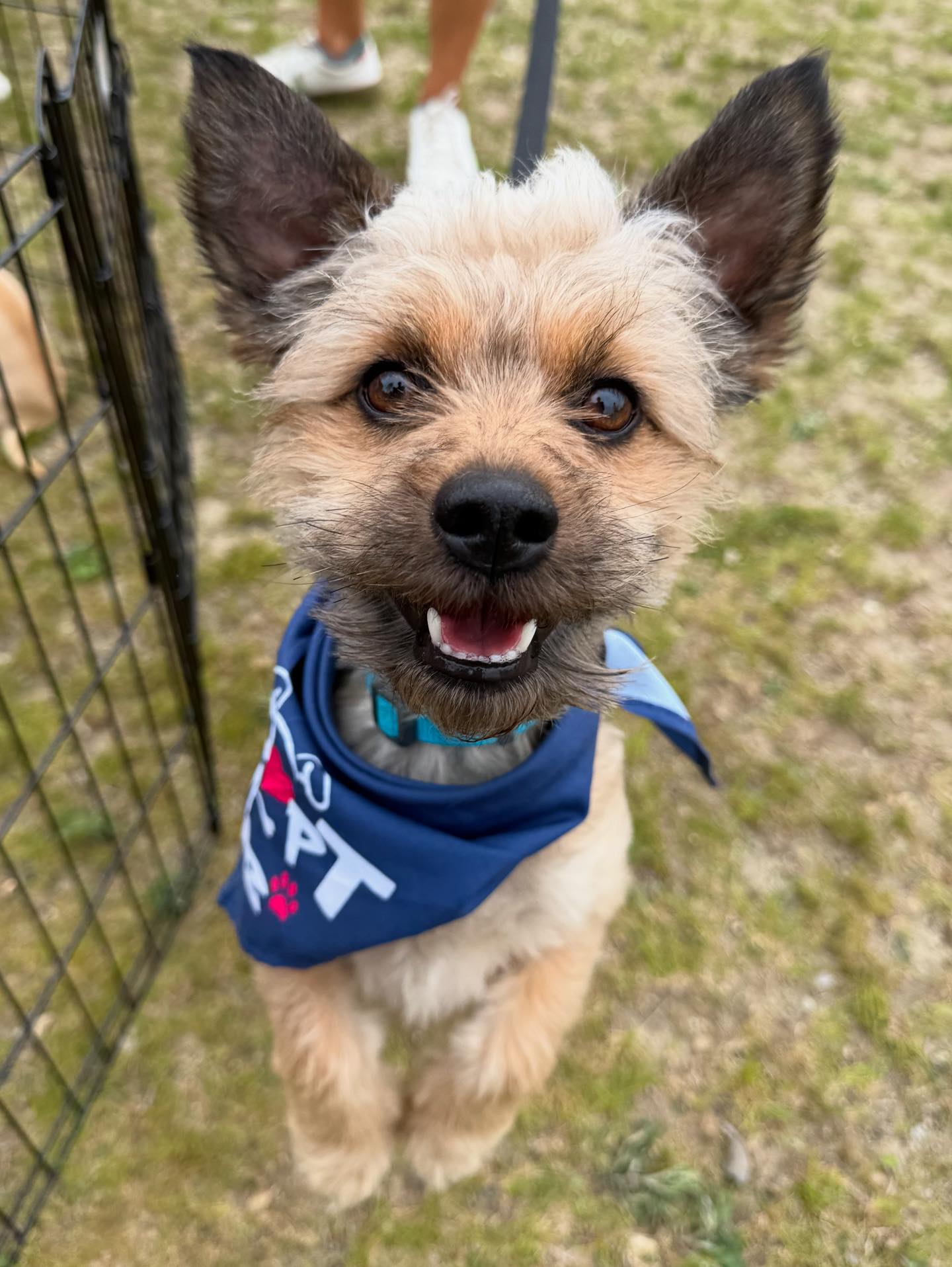 Sandy Paws Rescue Inc. added a... - Sandy Paws Rescue Inc.