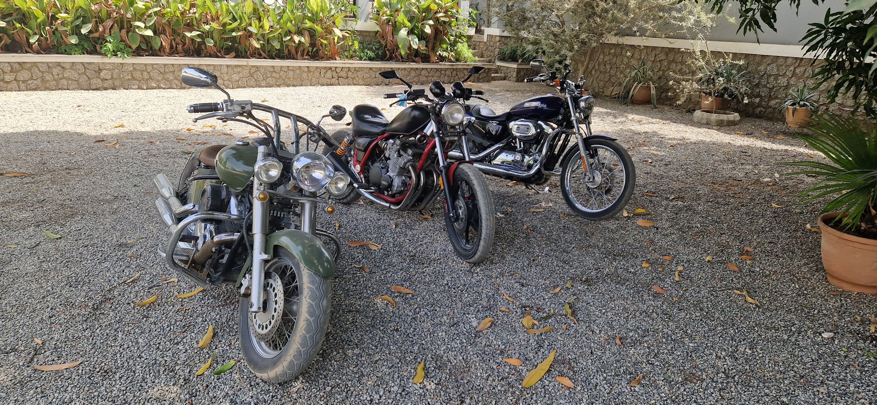 Kano Riders | Kano