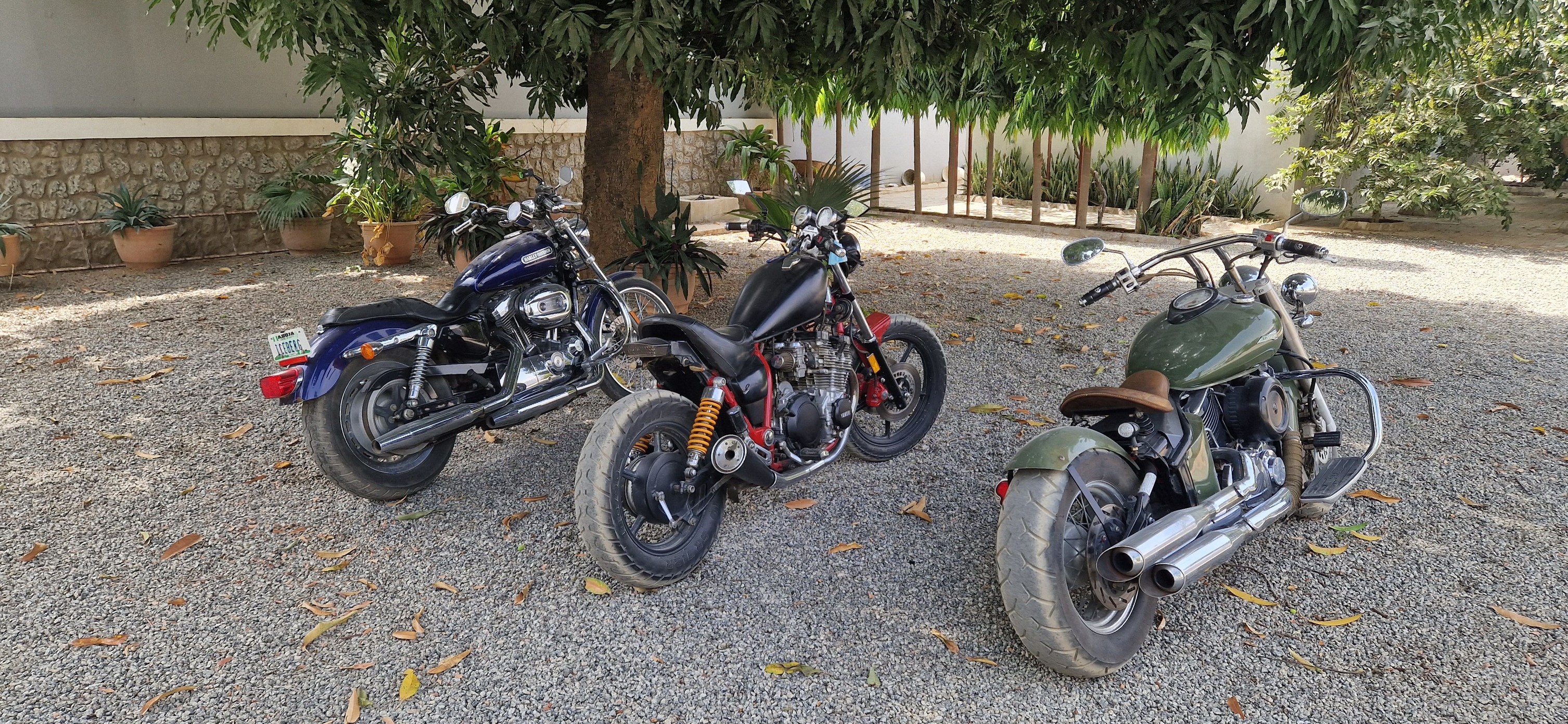 Kano Riders | Kano
