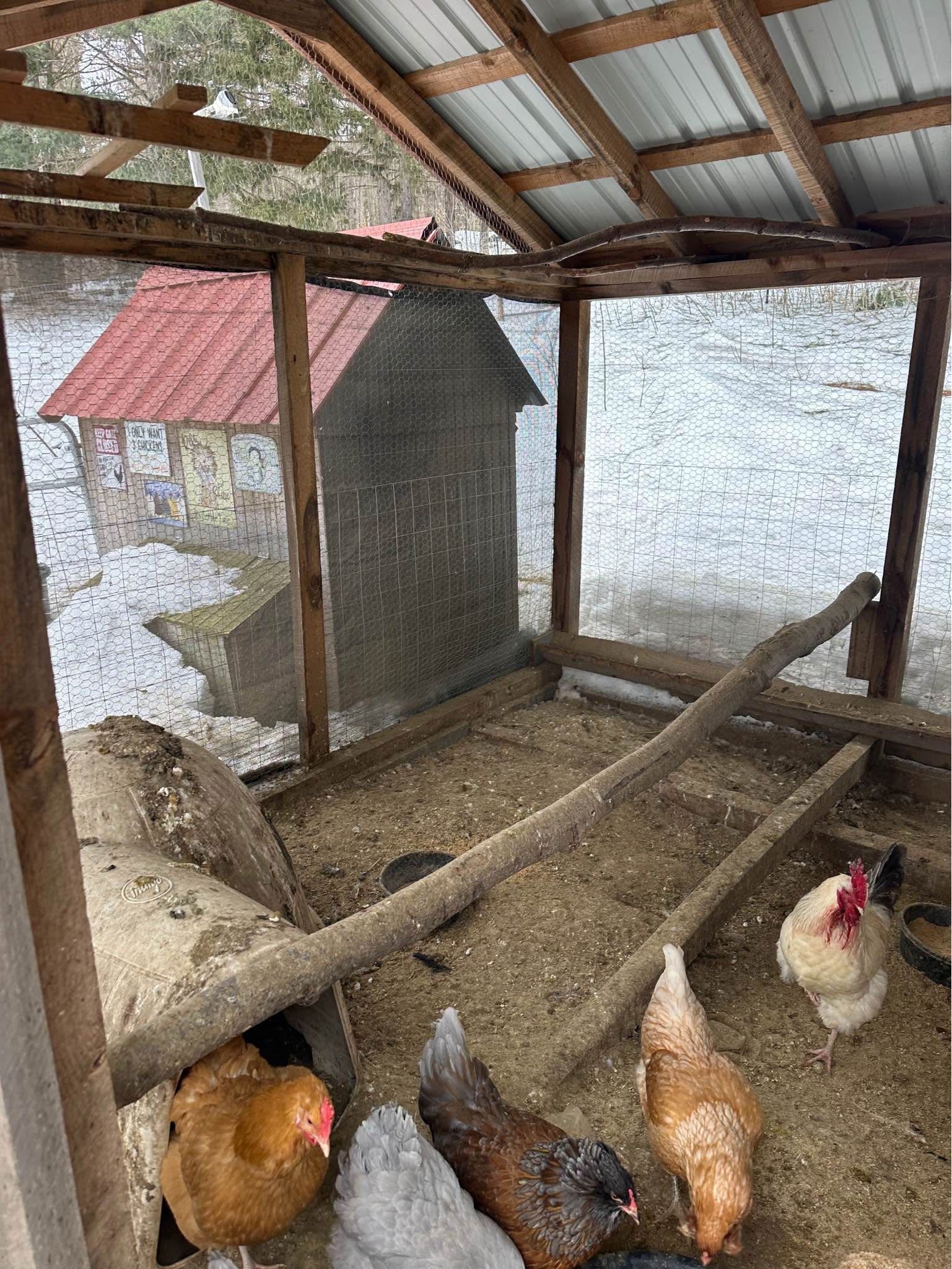 Photo inspiration: Gallery Detail: Custom 10 X30 Chicken Coop With Aviary