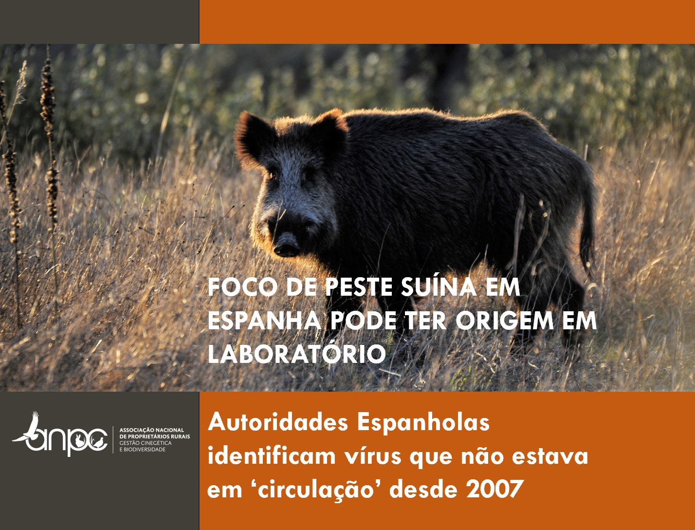 ANPC - Proprietários Rurais... - ANPC - Proprietários Rurais