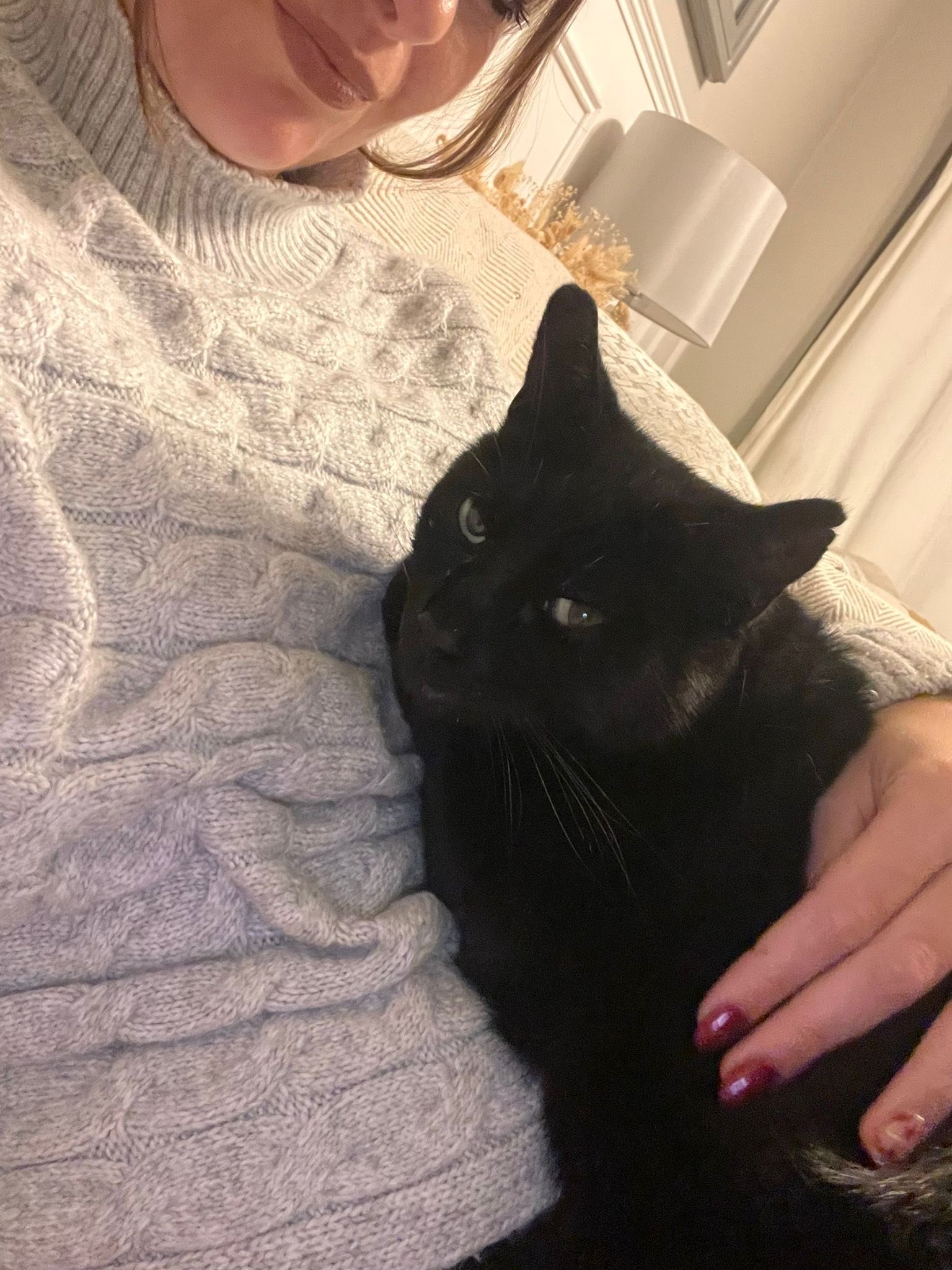 A HUGE thank you to Hannah... - RSPCA Wiltshire Mid Branch | Facebook