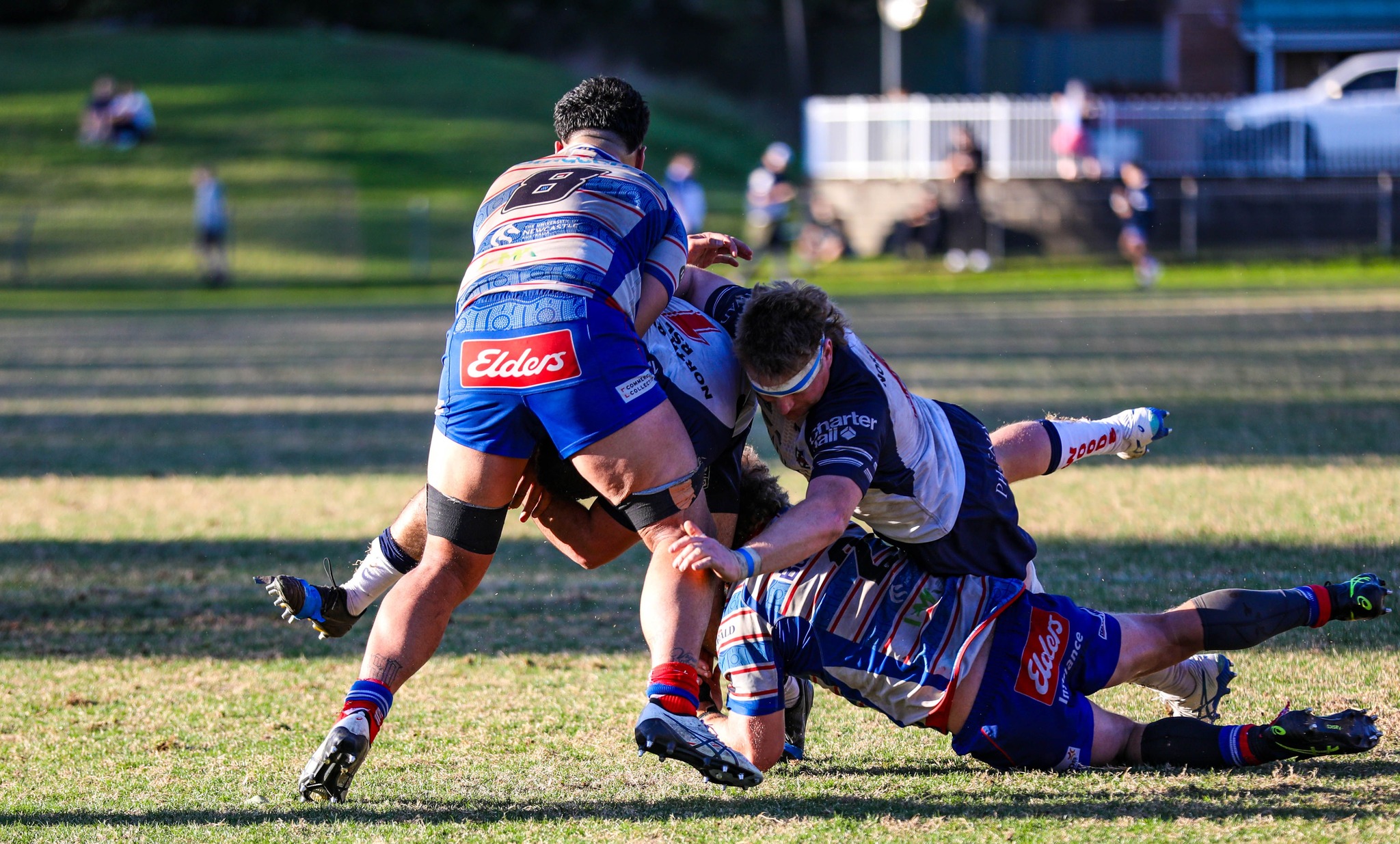 The pressure is on this Shute Shield... - North Shore Times | Facebook
