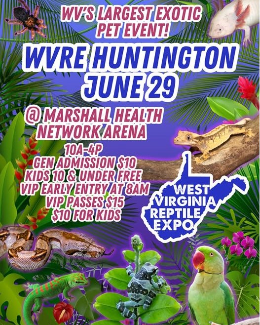 🚨TOMORROW🚨 Don’t miss the... - Marshall Health Network Arena | Facebook