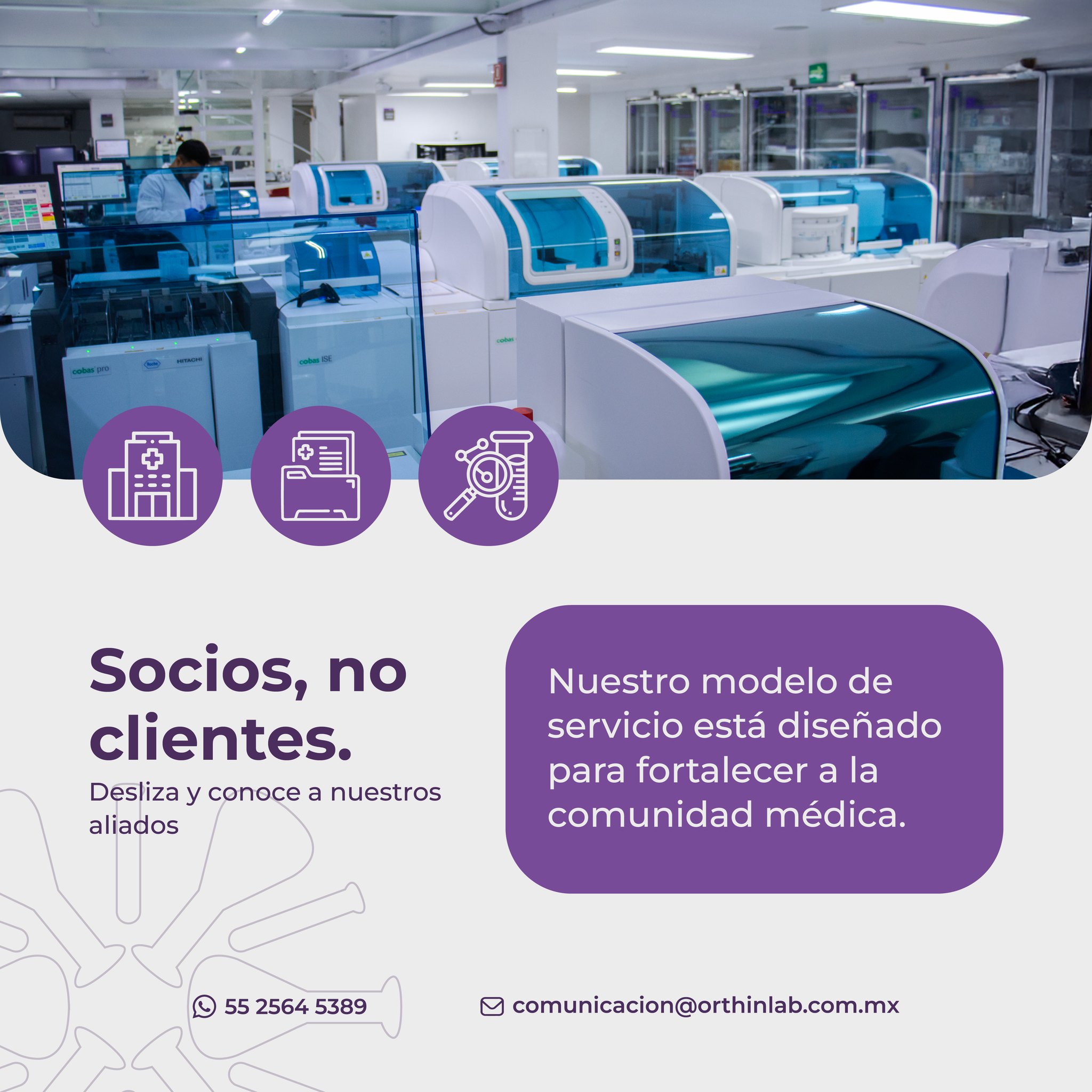 Orthin Lab