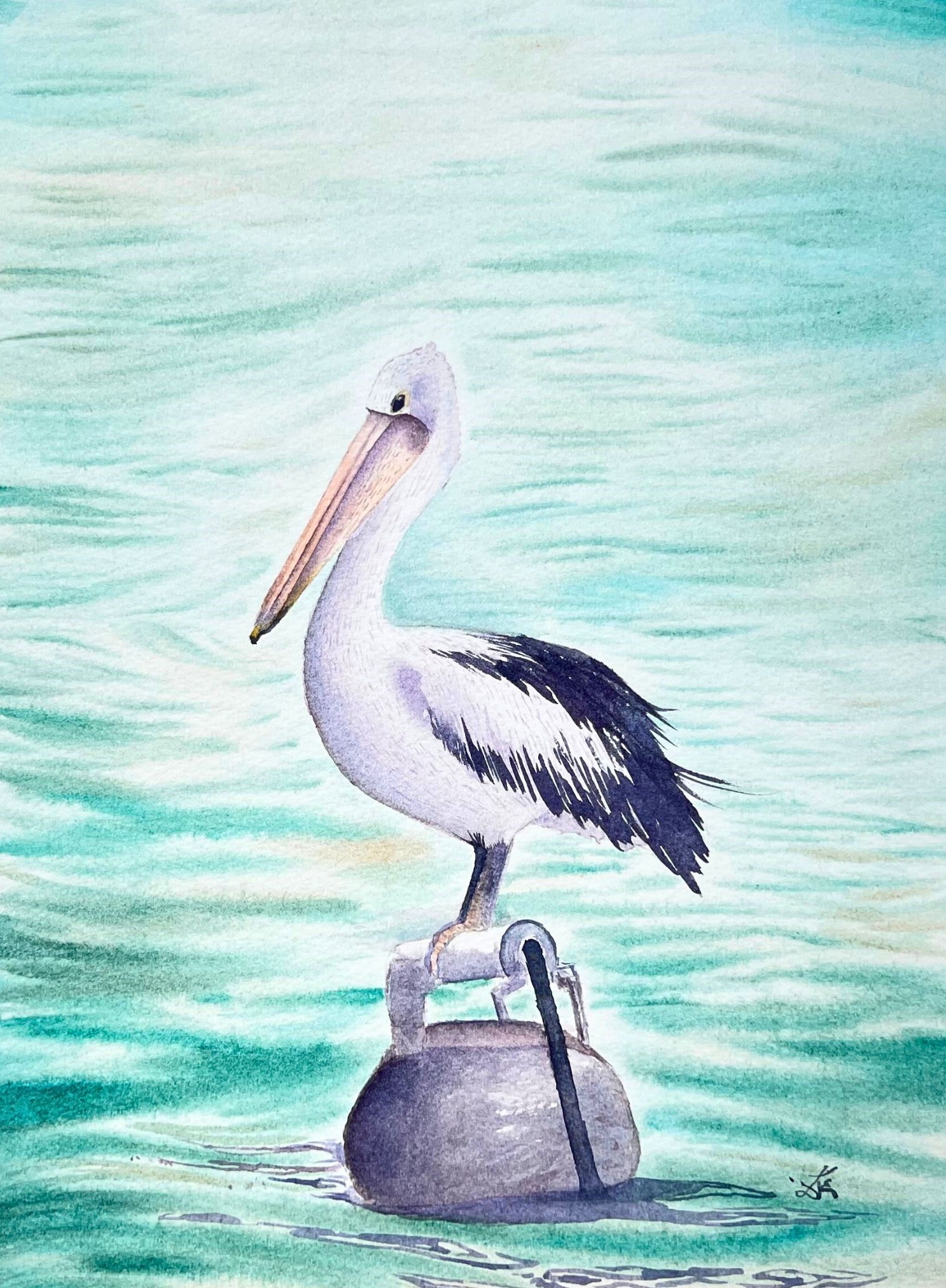 Australian Pelican - Original Watercolor Painting 9x12