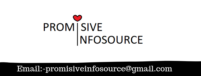 Promisive Infosource | Pune