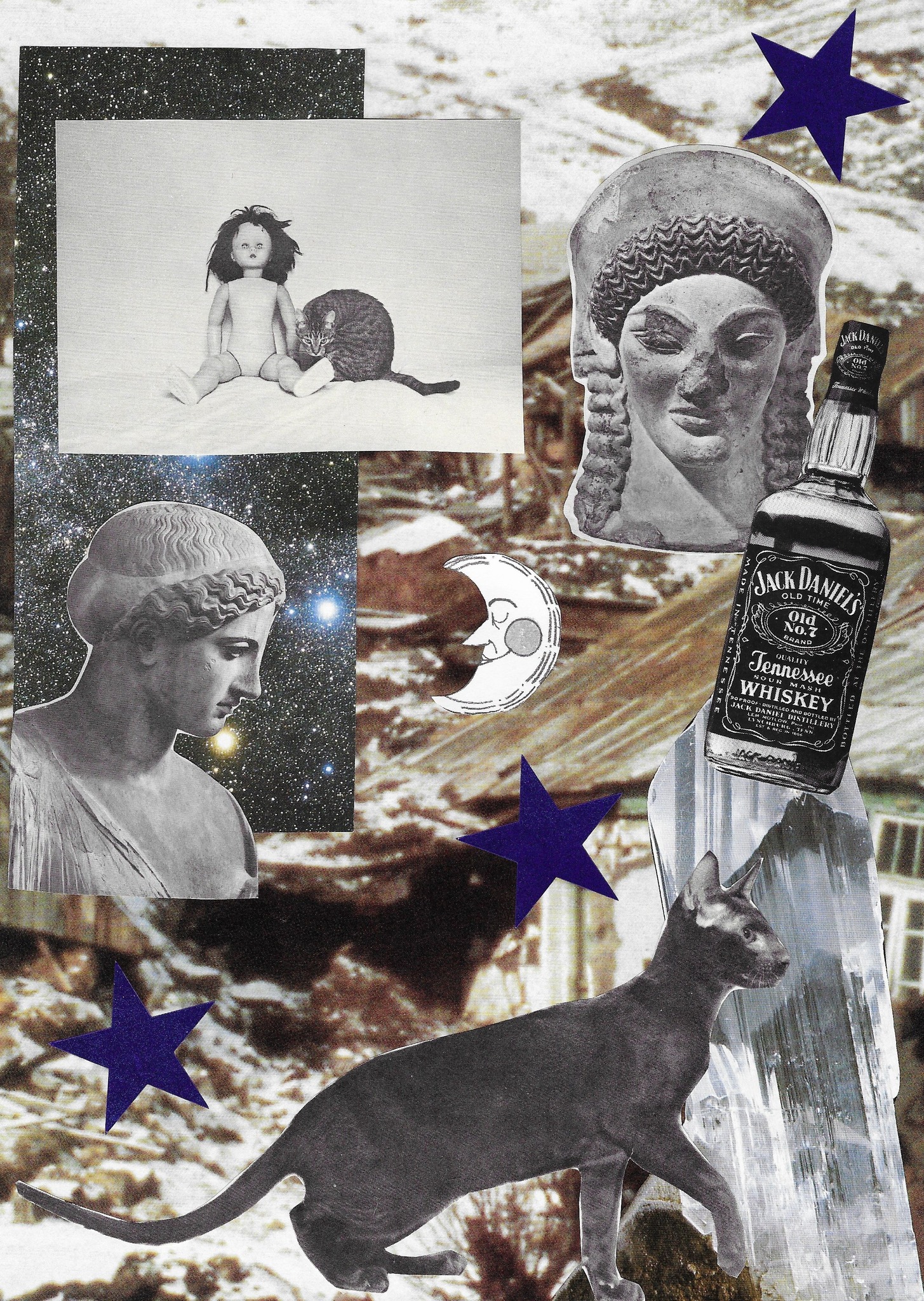 Lotus Velvet - Home