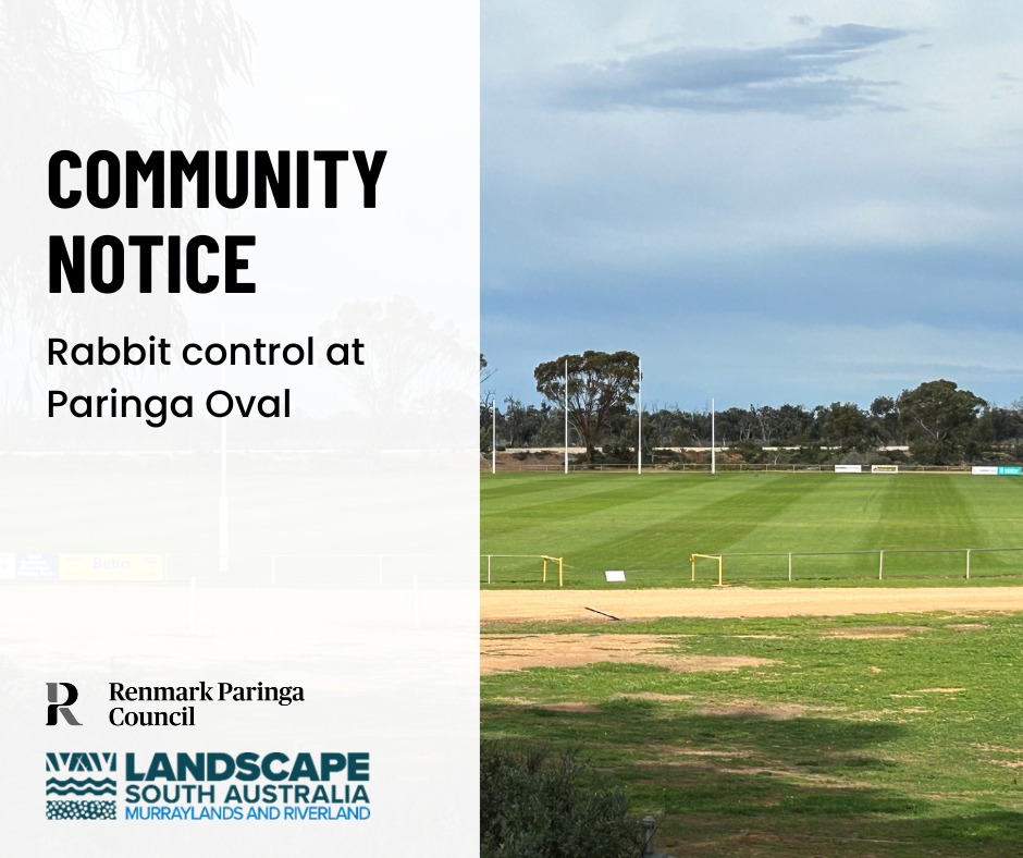Renmark - 📣 Community Notice 📣 Rabbit control at Paringa Oval – Please ...
