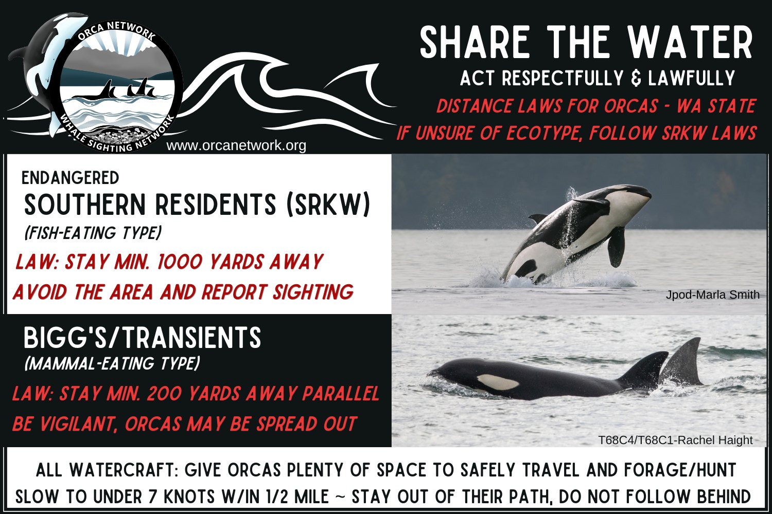 Orca Network - ️ Orcas reported in south Puget Sound! For... | Facebook