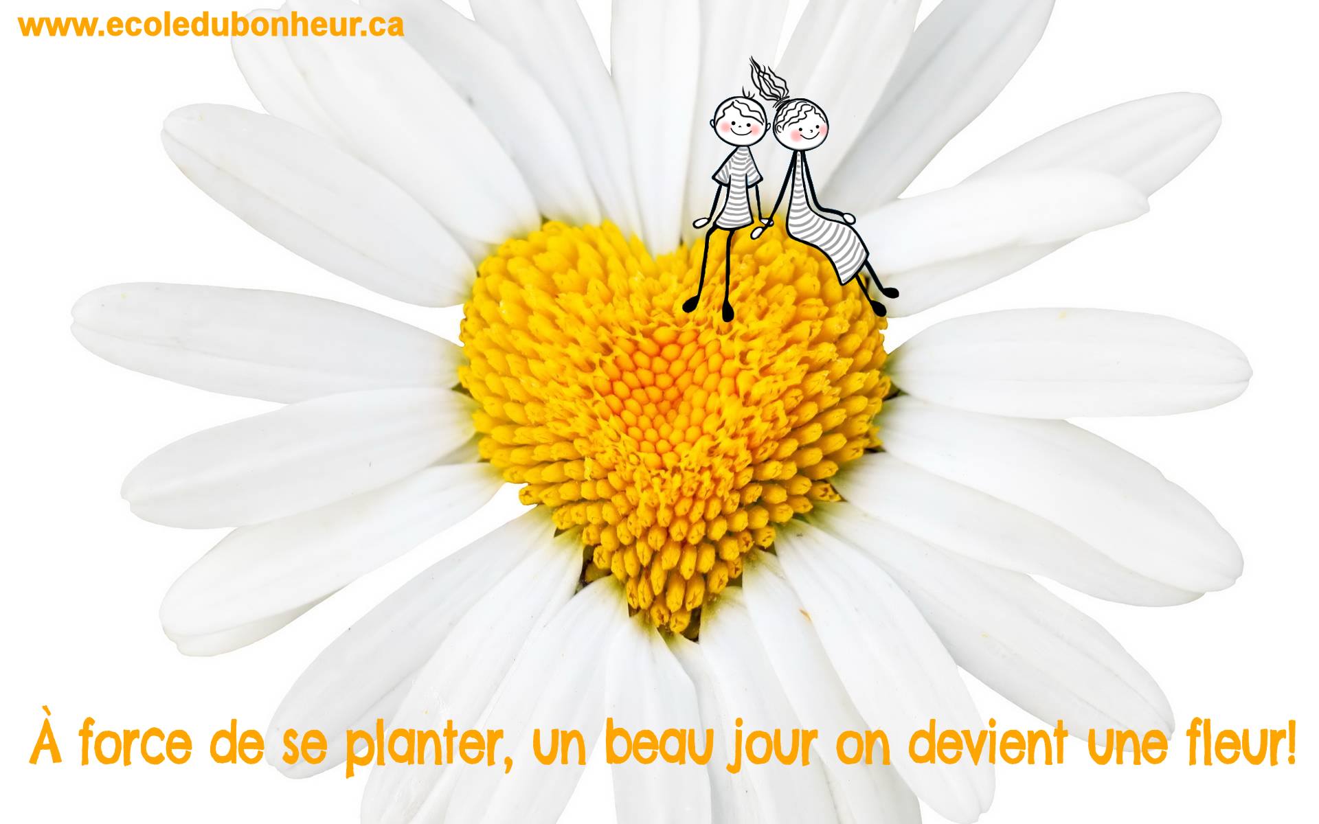 Toute situation négative cache une... - École du Bonheur