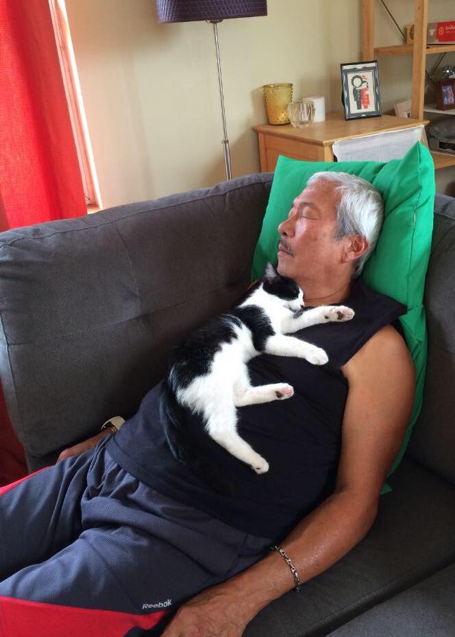 Some photos of Gilly and... - Gilly the Kitty & Big Bro Ringo