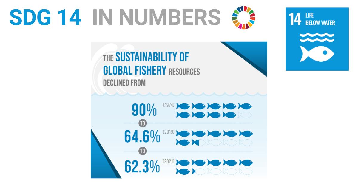 💧 #SDG14 is our... - UN Sustainable Development Platform | Facebook