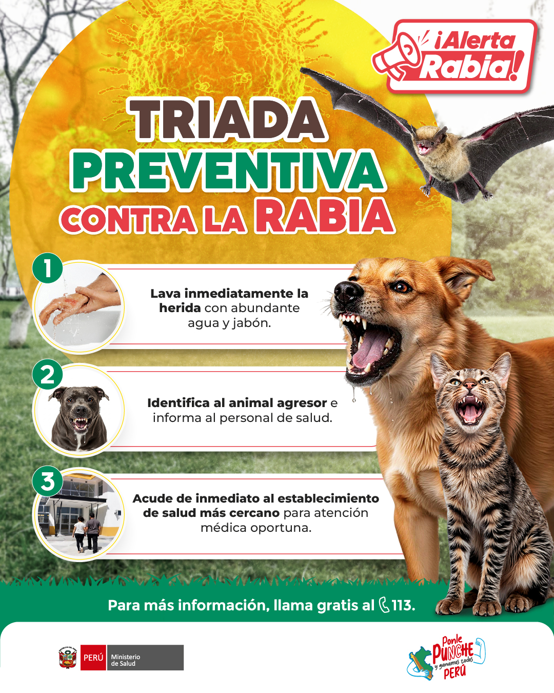 ⚠️ #AlertaRabia | Una... - Ministerio de Salud del Perú | Facebook