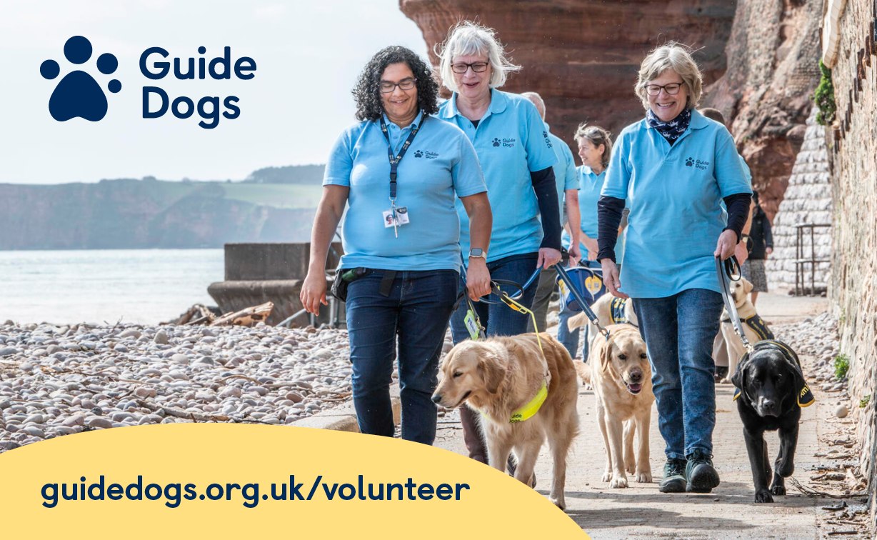 Voluntary - It’s International Assistance Dog Week! Guide dogs are ...