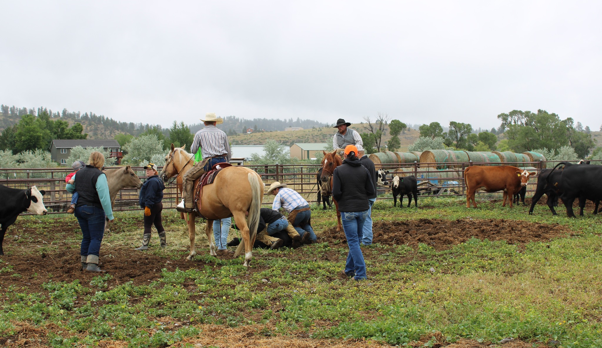 Special K Ranch Inc. - Bret B and Rob L. | Facebook