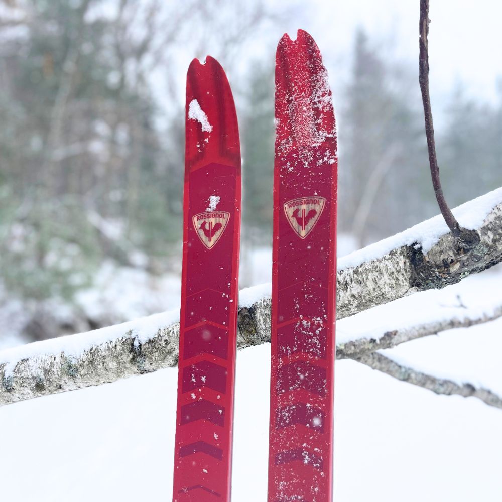 amazon patio furniture with umbrella PHI VILLA Set for 4,Swivel Mesh Dining Chairs felix chevrolet history and colorfastness meeting U.S Travel Backpack Best Hiking Size:Medium/Large (52-26)cm