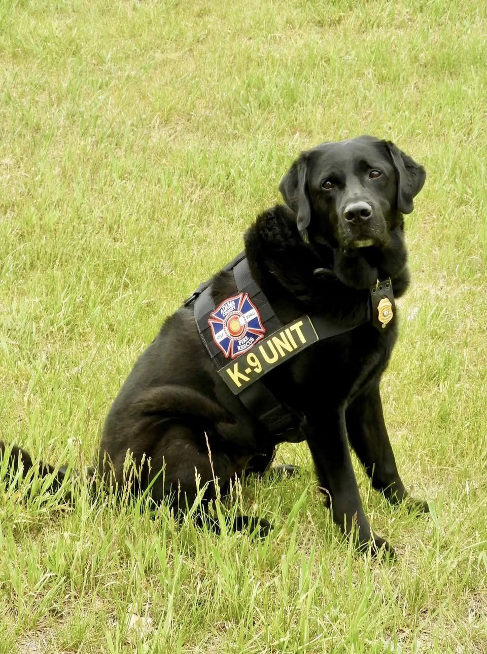 Arson K-9 Riley