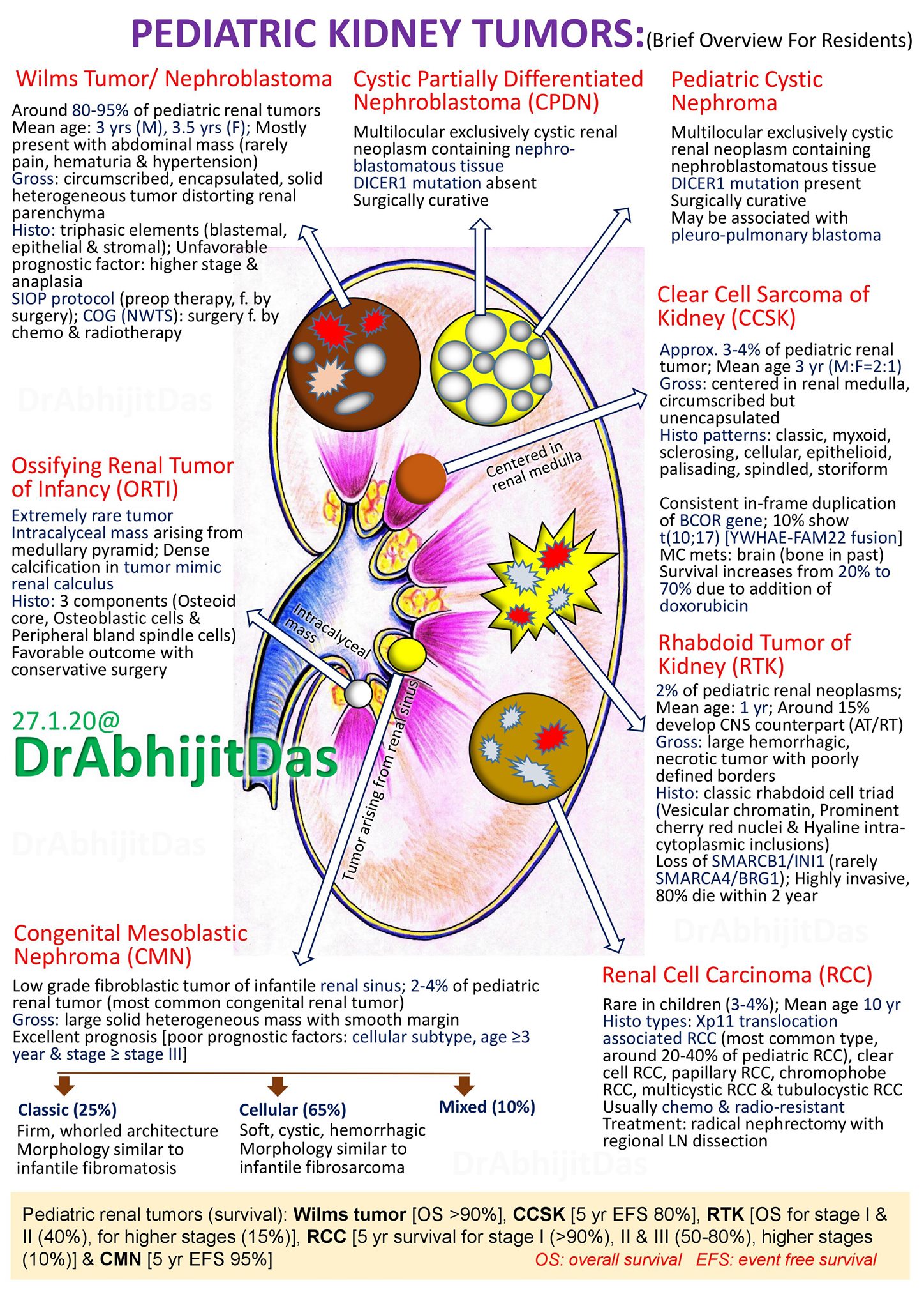 Dr.AbhijitDas, - PEDIATRIC KIDNEY TUMOR: AN OVERVIEW Nephrogenic rests ...