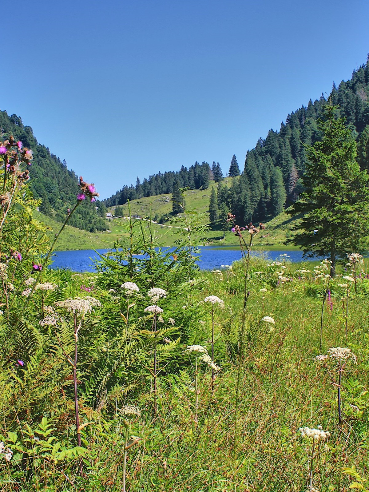 World - Filzbach,Glarus-Switzerland. | Facebook