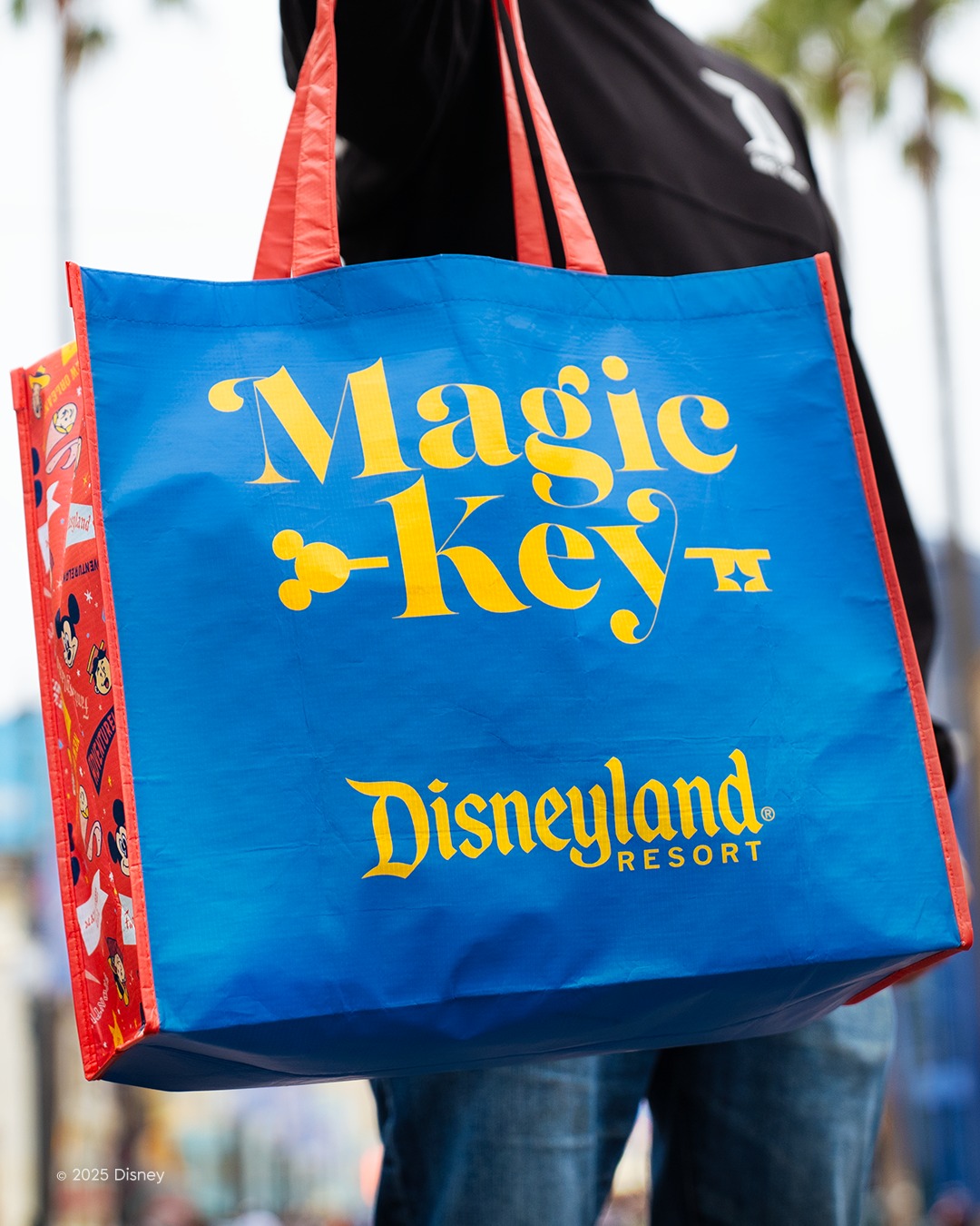 We've got happiness in the bag! Magic Key holders can stop by