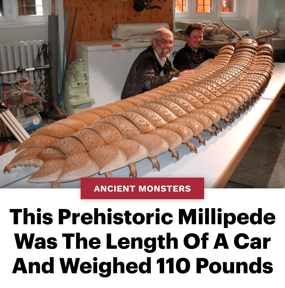 History Revealed - 