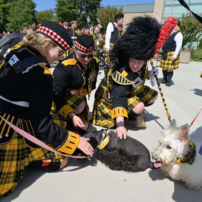 College of Wooster Scottish Terrier 